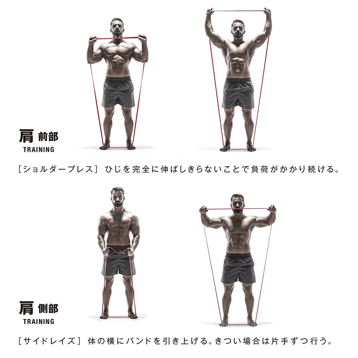 筋肉質バンド　ハード