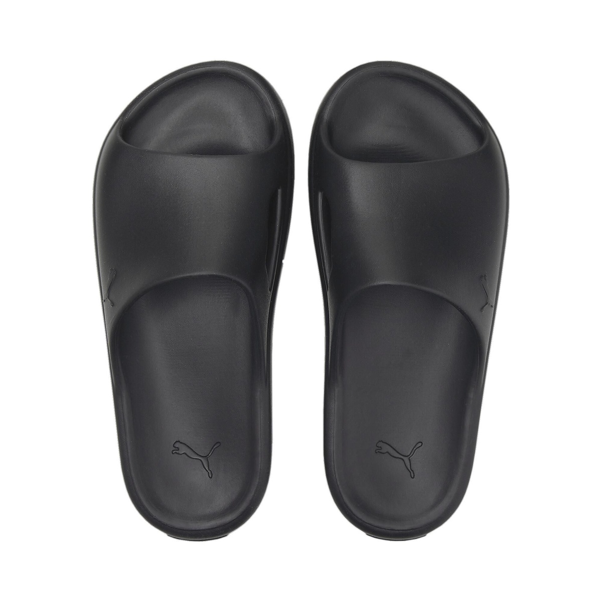 シブイキャット