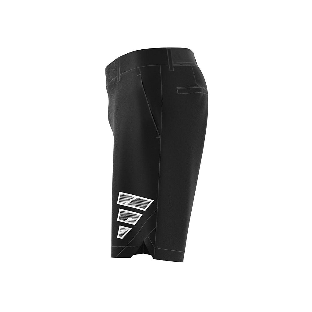 10インチ ドライショーツ