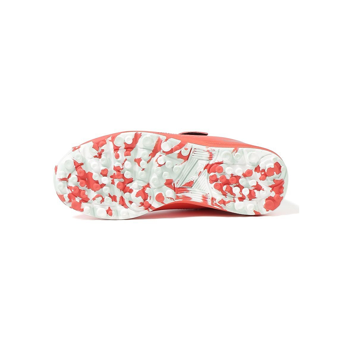 プリアモーレ6アルファ VTF ジュニア