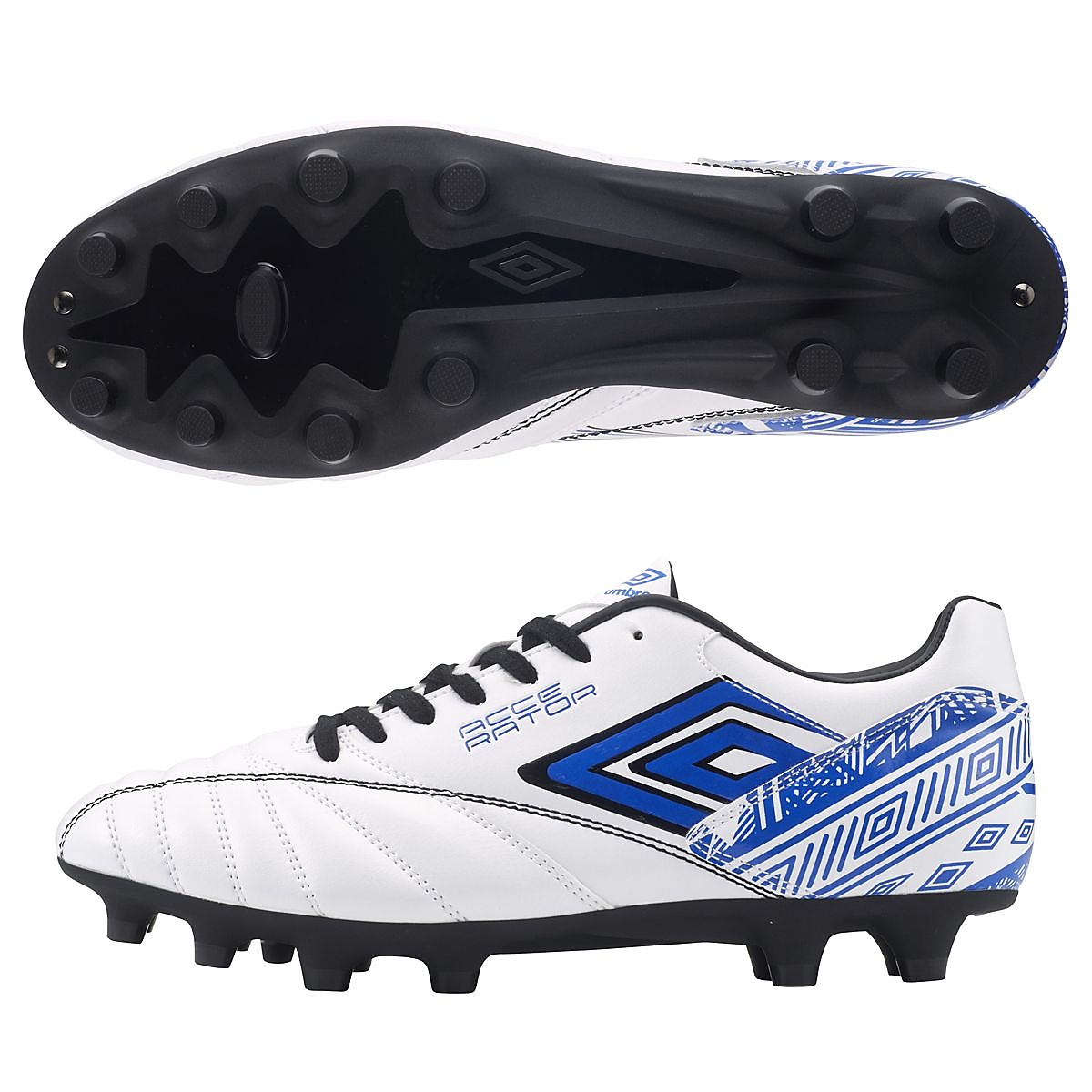 アクセレイター  HG