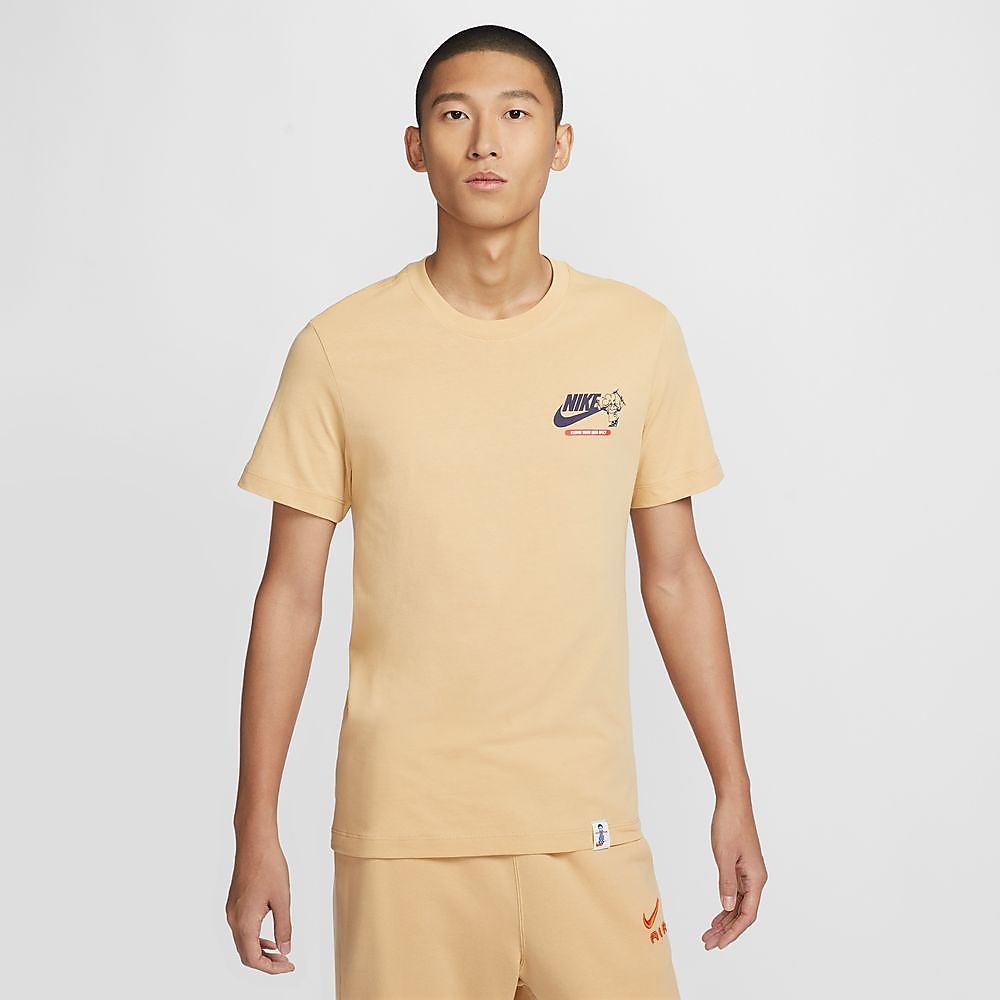 AS M NSW TEE OC GRAPHIC PK5