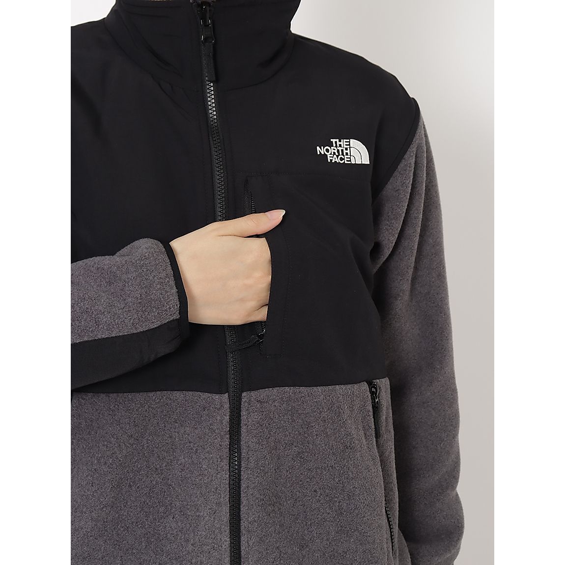 Womens Denali Jacket (ウィメンズデナリジャケット)