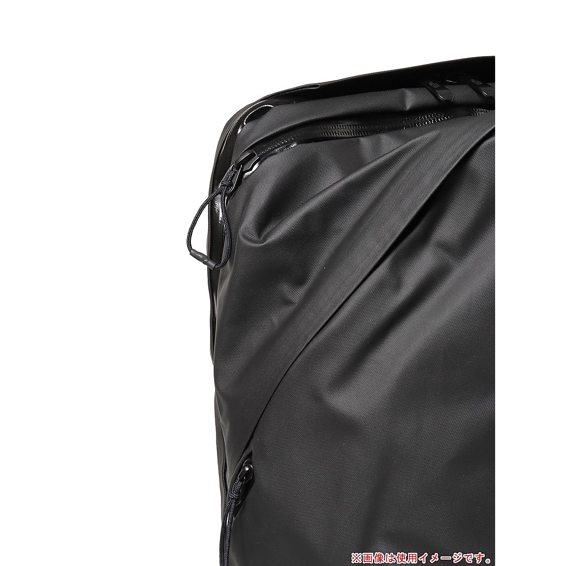 Biotite (バイオタイト)