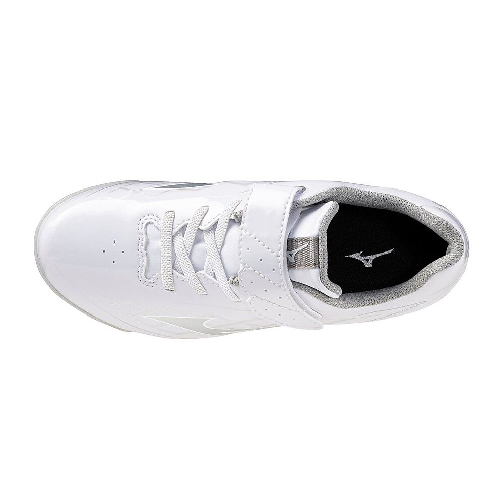 クッションレボダイア Jr.