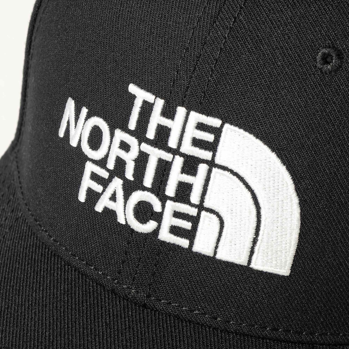 TNF Logo Cap (TNFロゴキャップ)