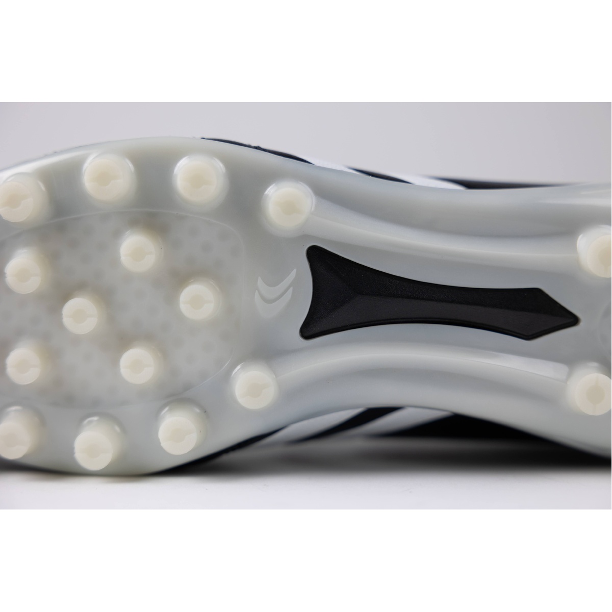 リガレスタ エース(Ligaresta  Ace)