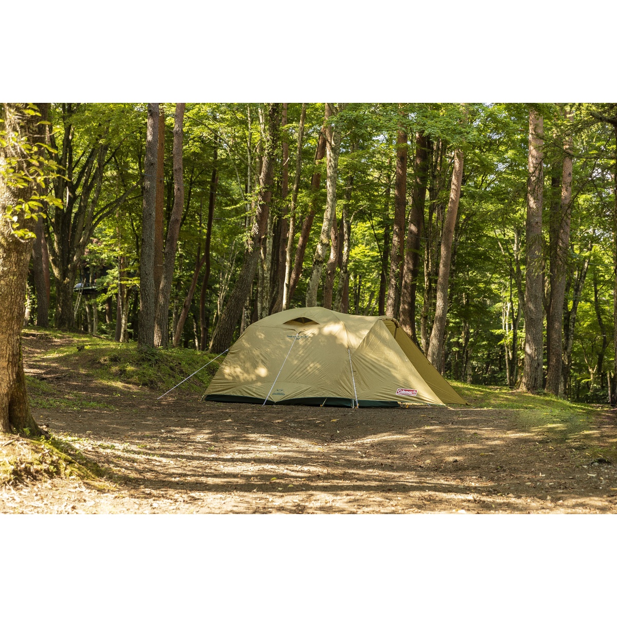 タフワイドドームＶ/300スタートパッケージ