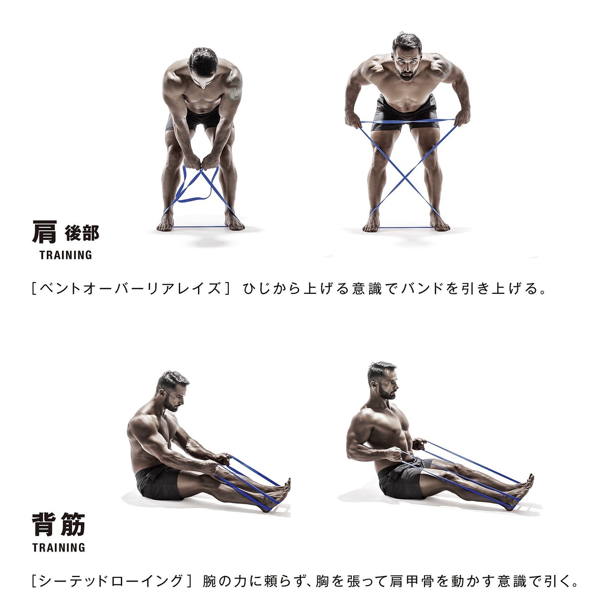 筋肉質バンド　スタンダード