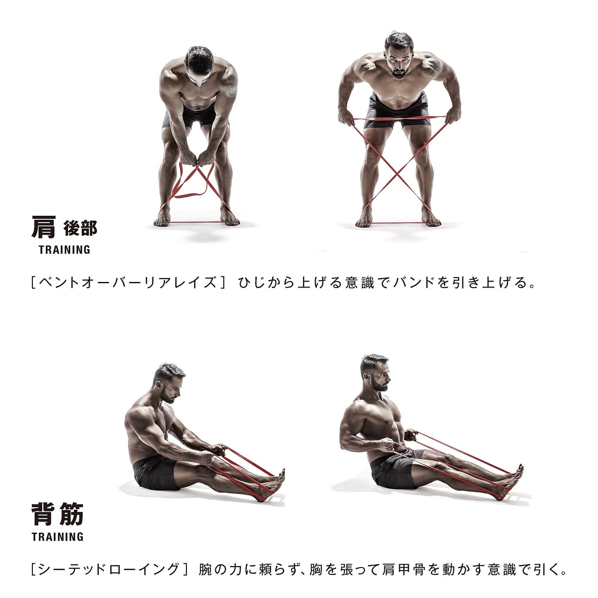 筋肉質バンド　ハード