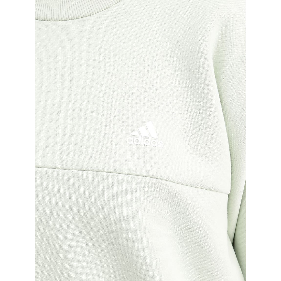 ワーディング クルーネック スウェット / W WORDING CREW NECK SWEAT