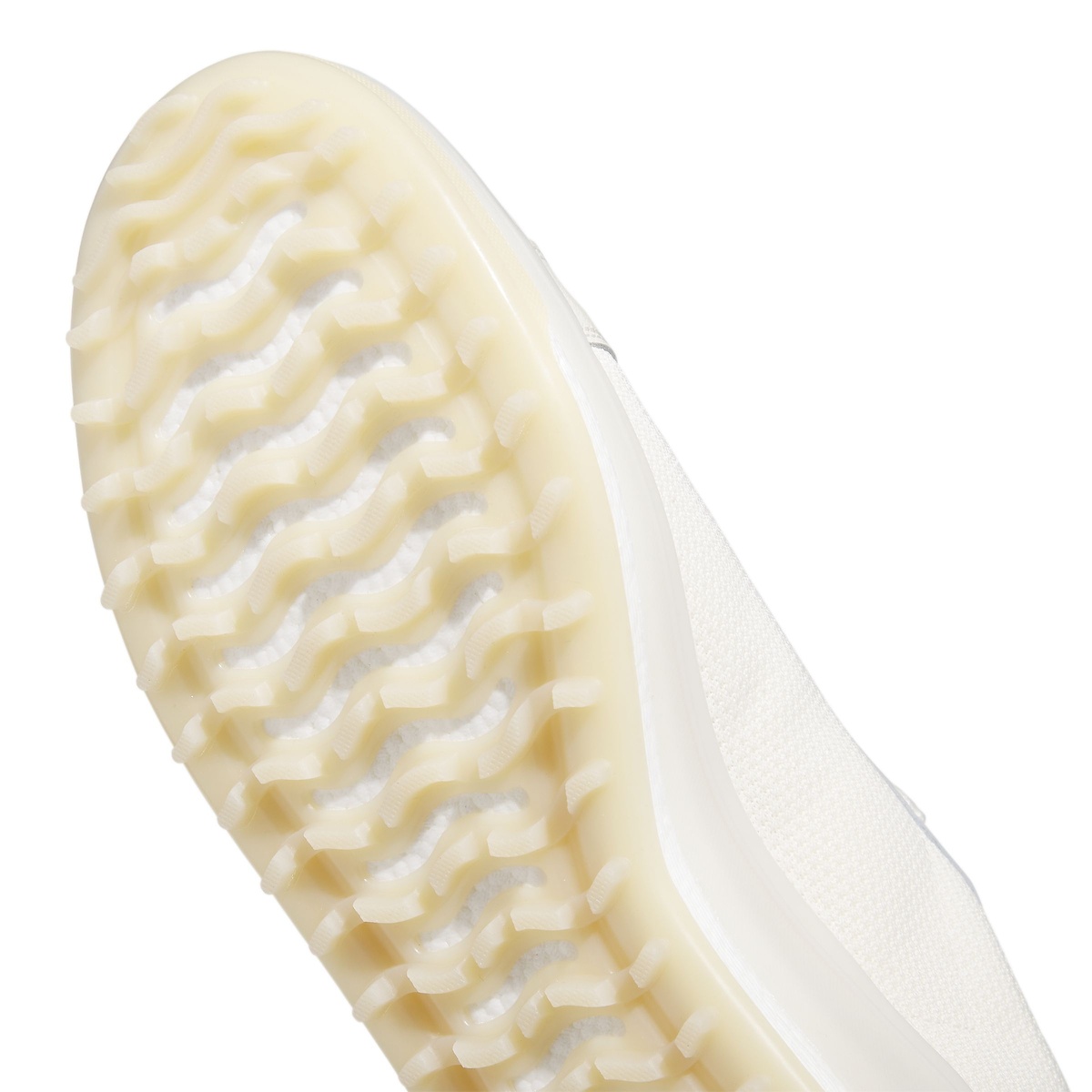 ゴー・トゥ・スパイクレス　１