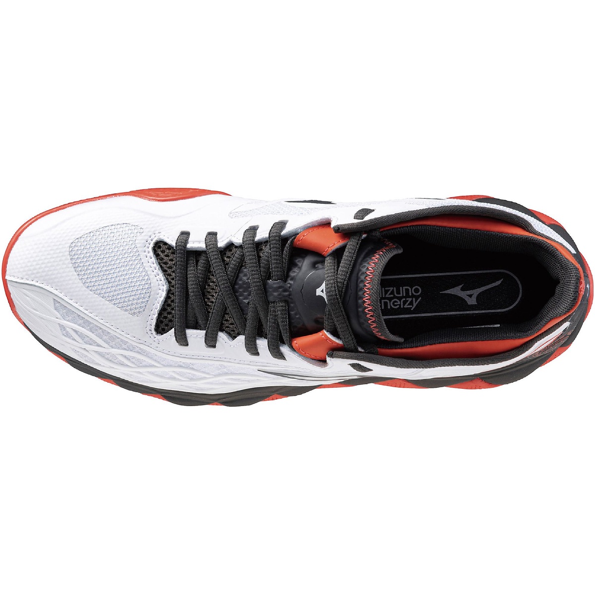 ウエーブエンフォースツアー OC