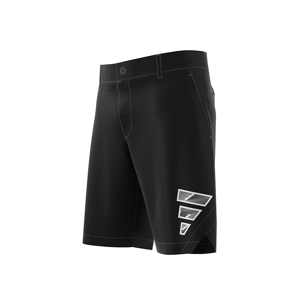 10インチ ドライショーツ