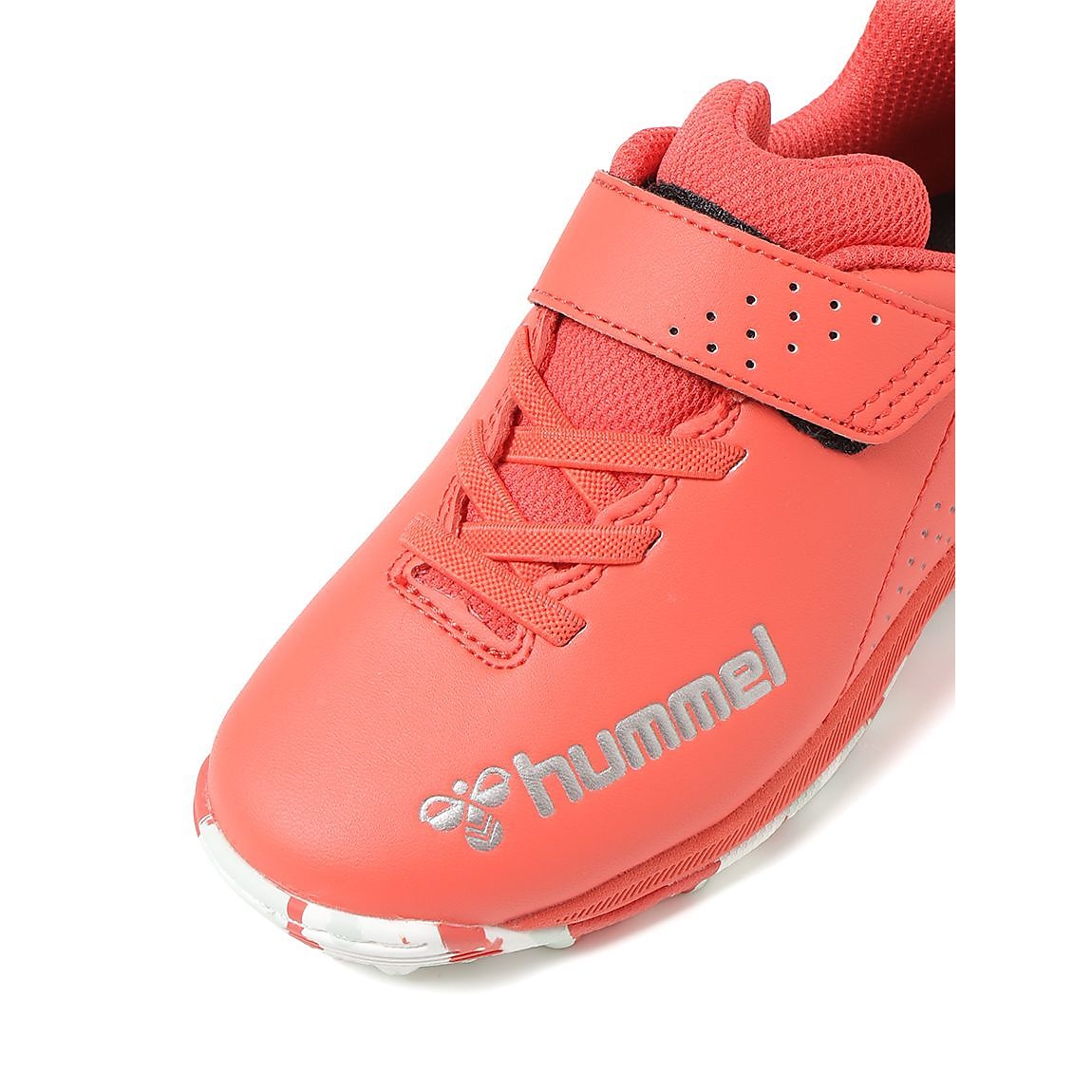 プリアモーレ6アルファ VTF ジュニア