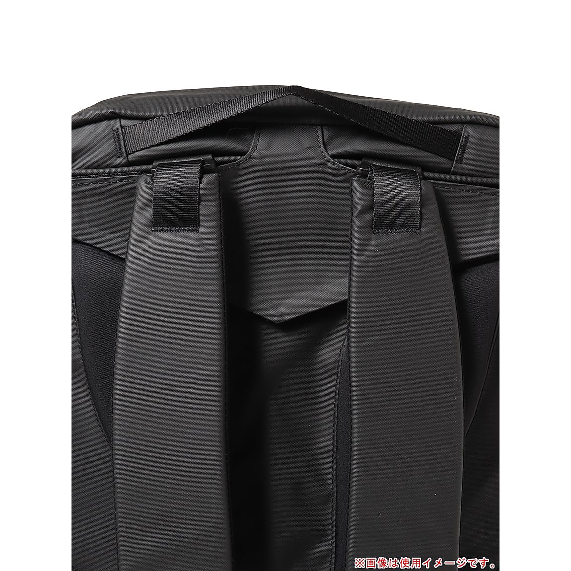 Biotite (バイオタイト)