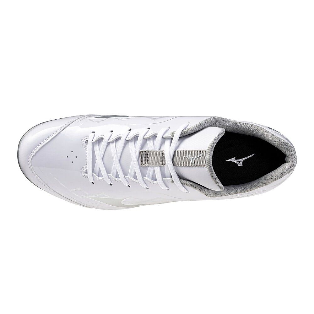 クッションレボダイア