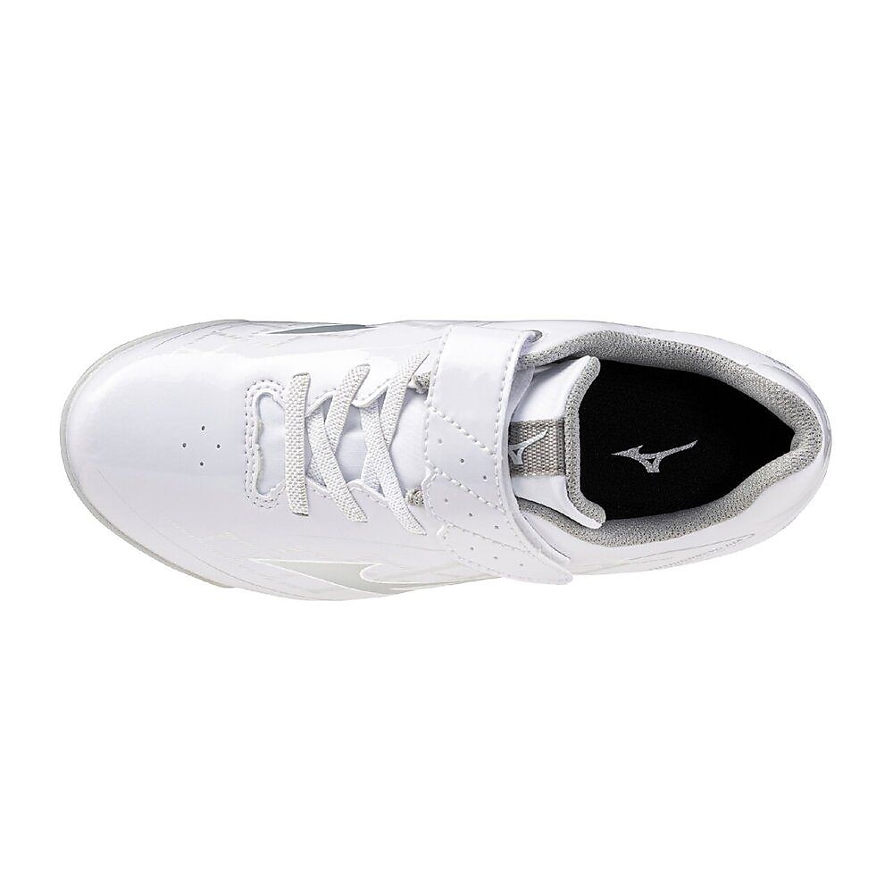 クッションレボダイア Jr.