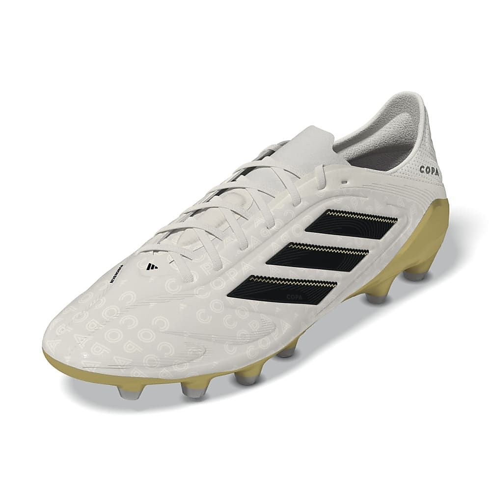 COPAPUREIIIELITEHG/AGJAPAN