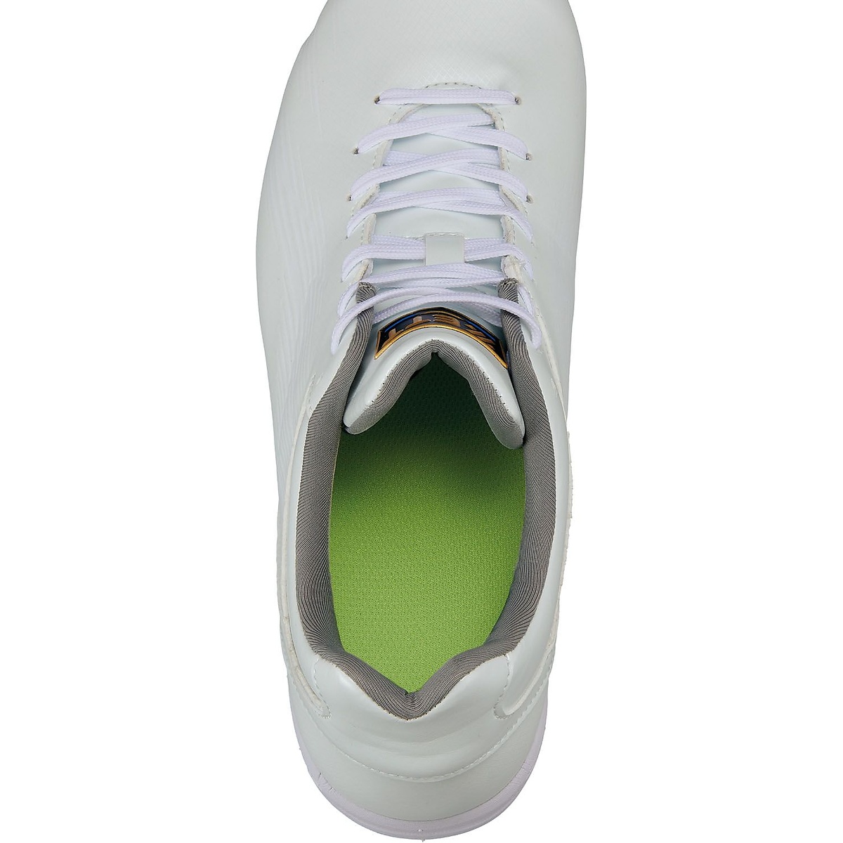 カナグスパイク ネオステイタスWH *