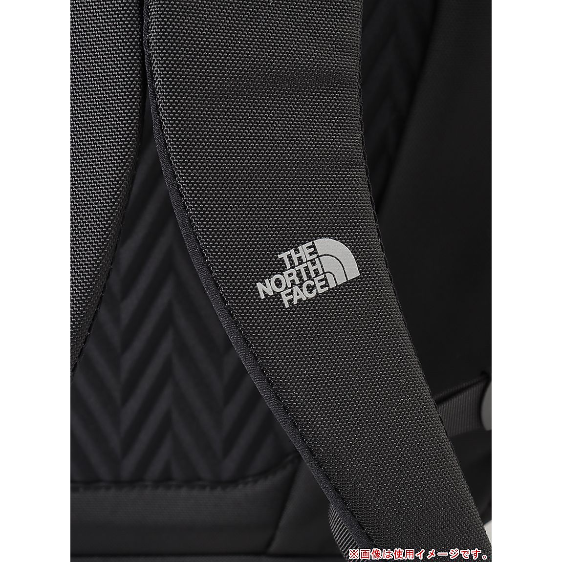 FB PRO LITE (FBプロライト)