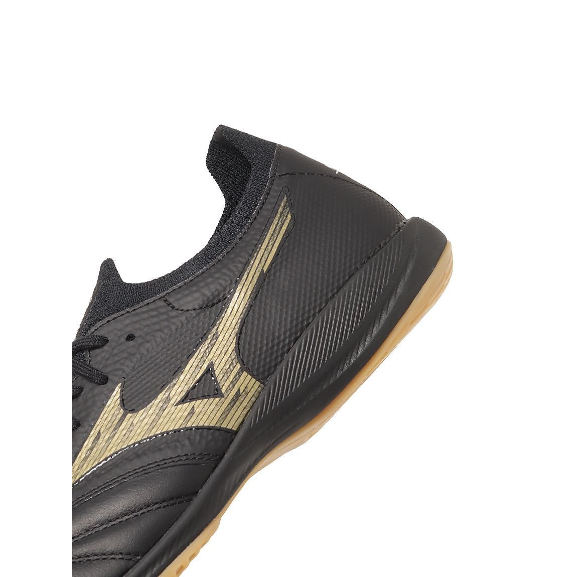 モレリアネオ サラ ベータ JP IN