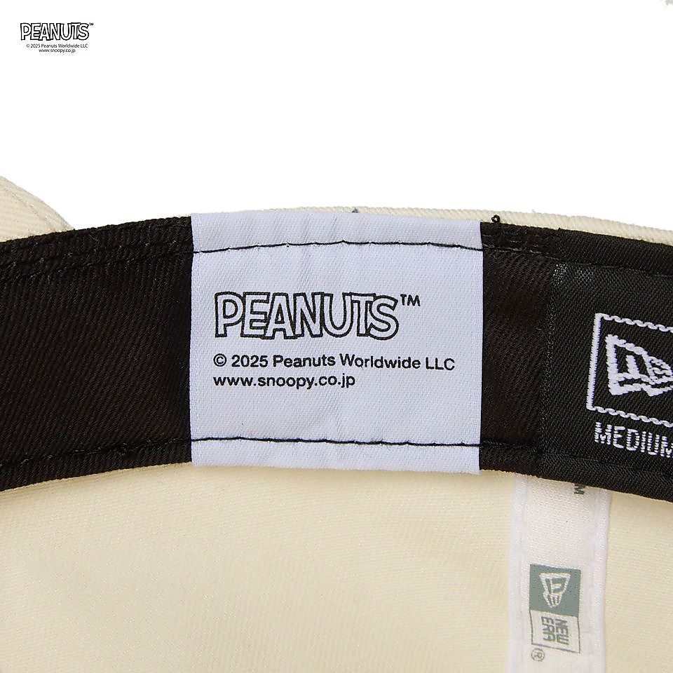 930 PEANUTS HAVE A NICE DAY CHR