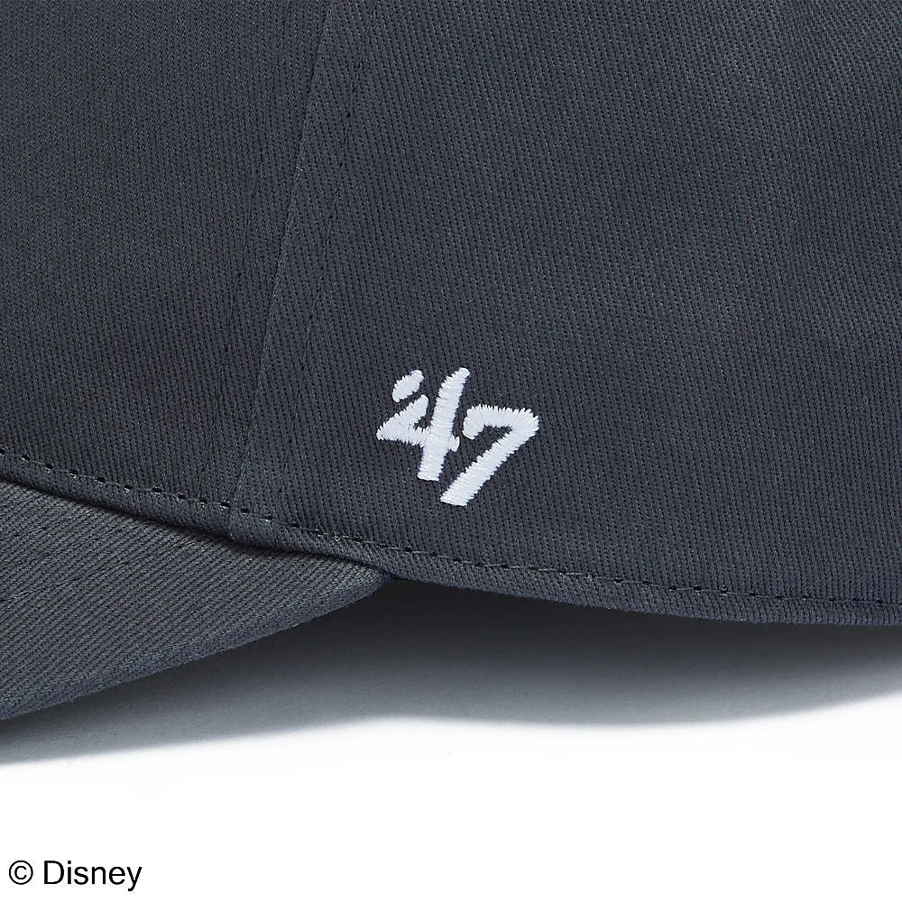 47A HIT-DIS-MINN-STA1BW-CT-GW