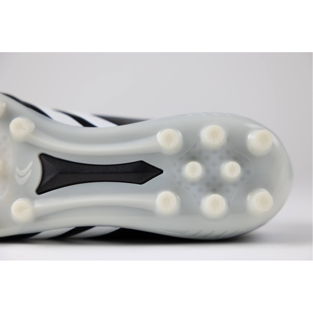 リガレスタ エース(Ligaresta  Ace)