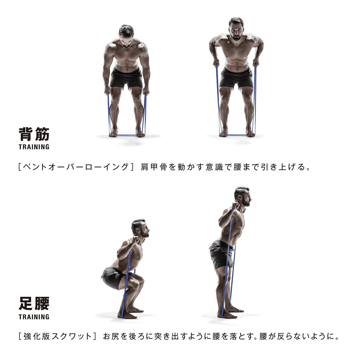 筋肉質バンド　スタンダード