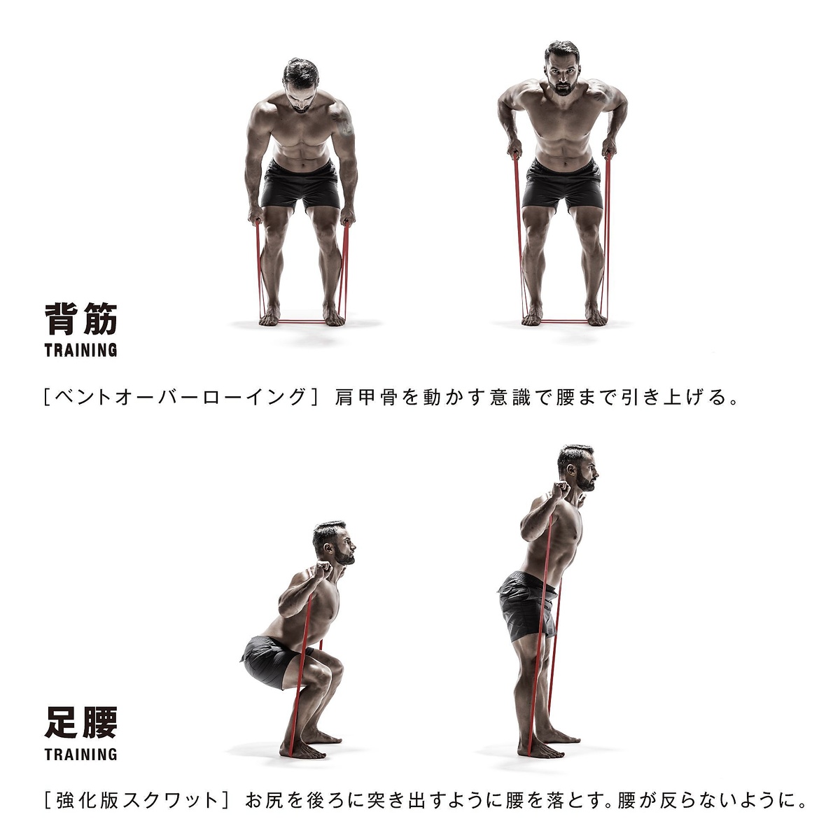 筋肉質バンド　ハード