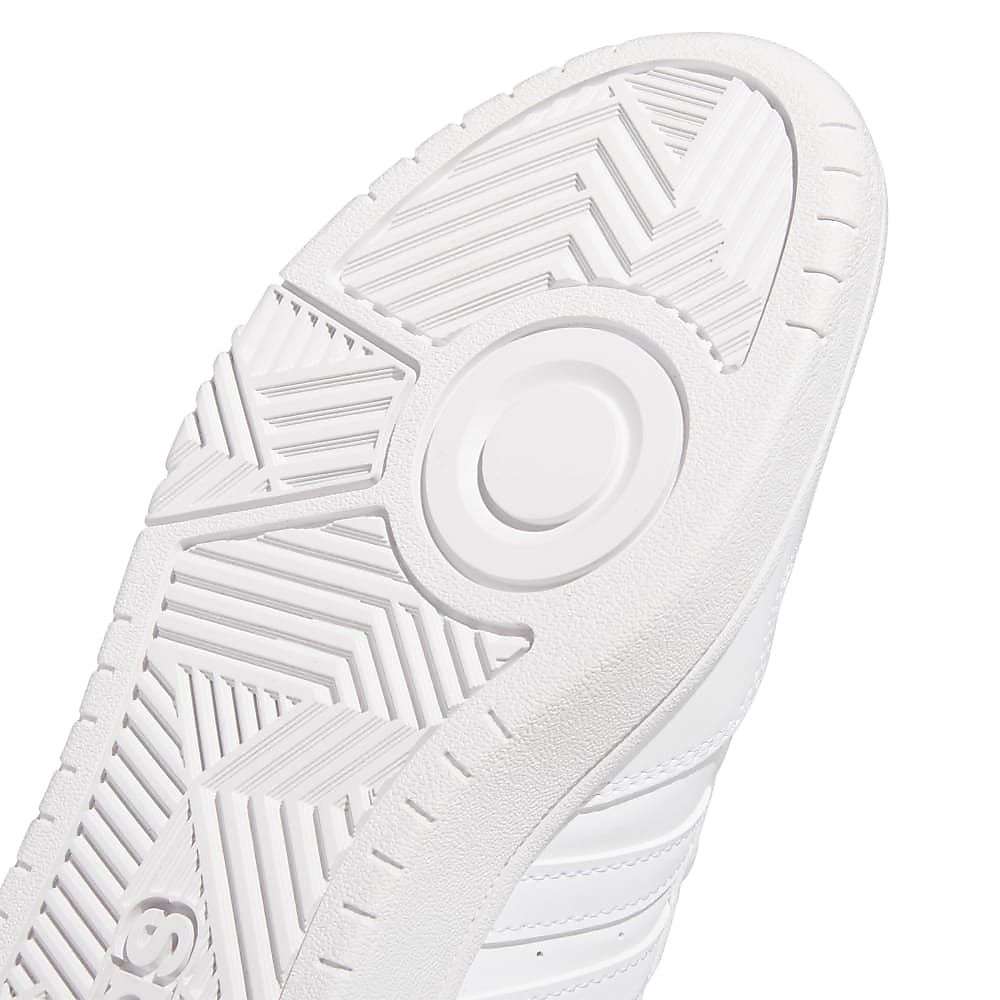 HOOPS 3.0