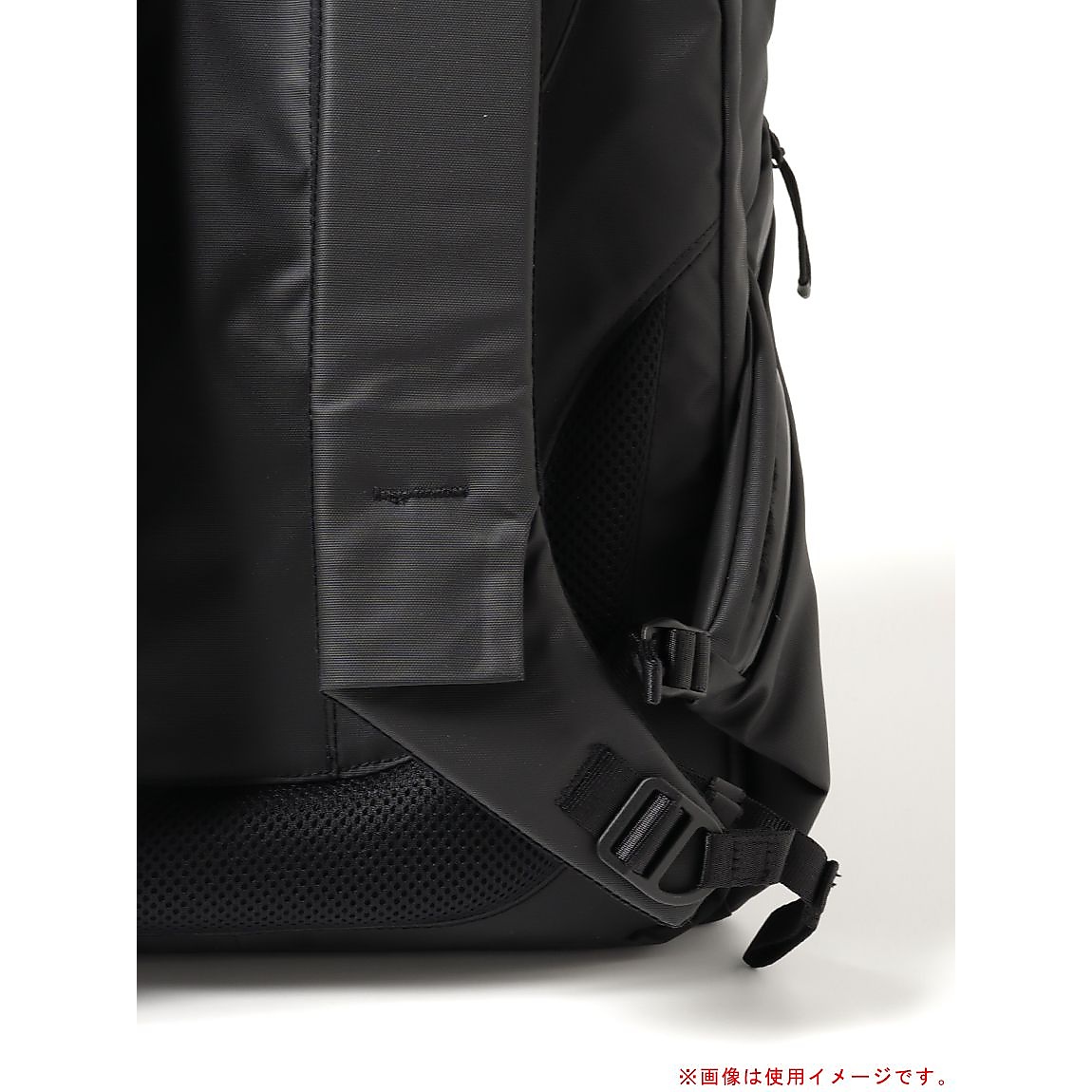 Biotite (バイオタイト)