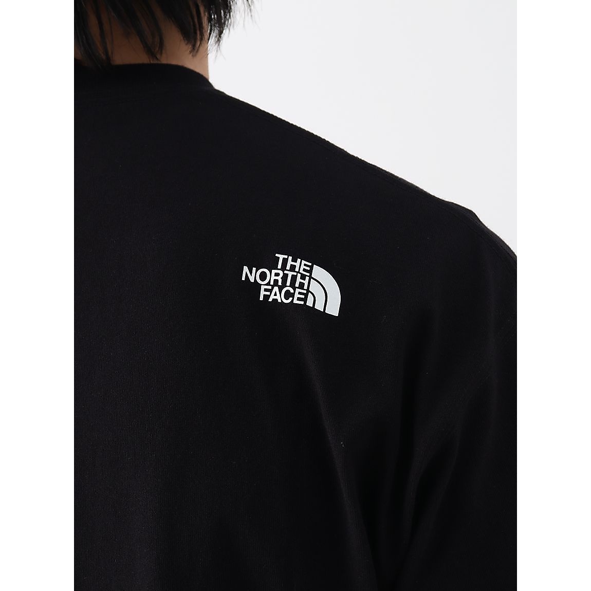 S/S FINE ALPN MT T(S/S ファインアパインマウンテンT)