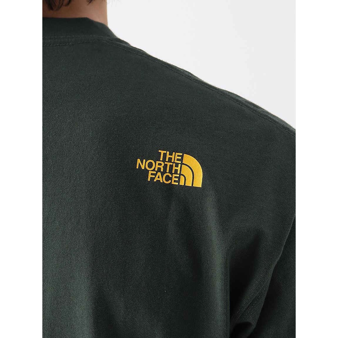 SS FINE ALPNTREE T(S/S ファインアルパインツリーT)