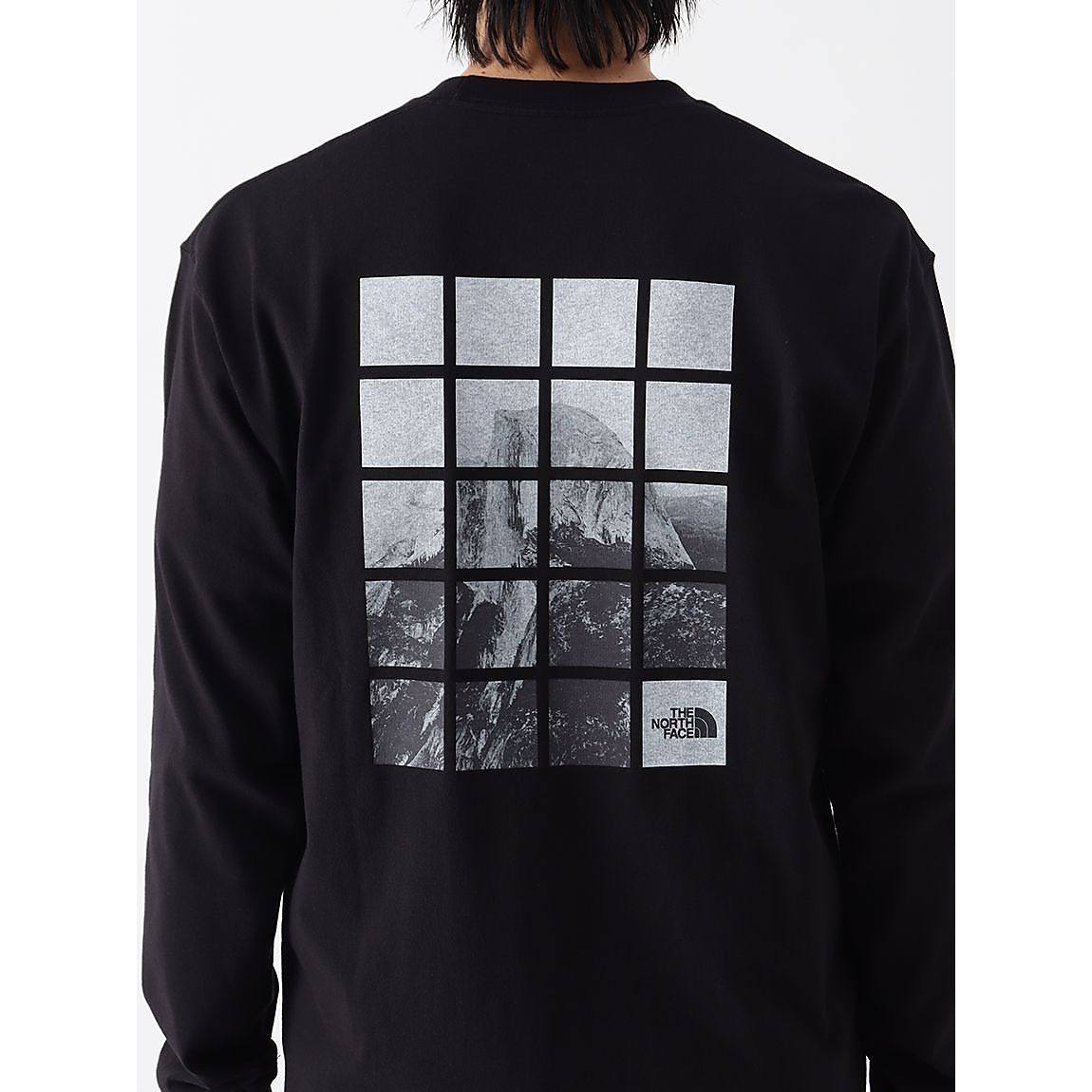 L/S HFDM WINDOW T(L/SハーフドームウィンドウT)