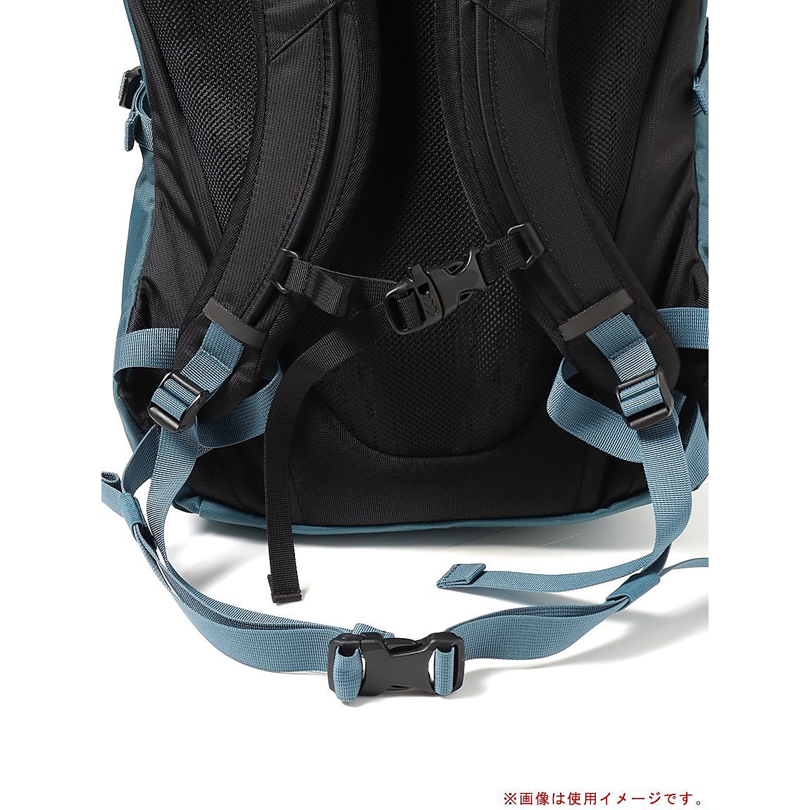 Tellus 25 (テルス25)