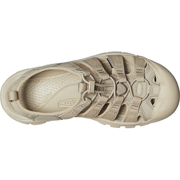 NEWPORT H2(ニューポート　エイチツー)