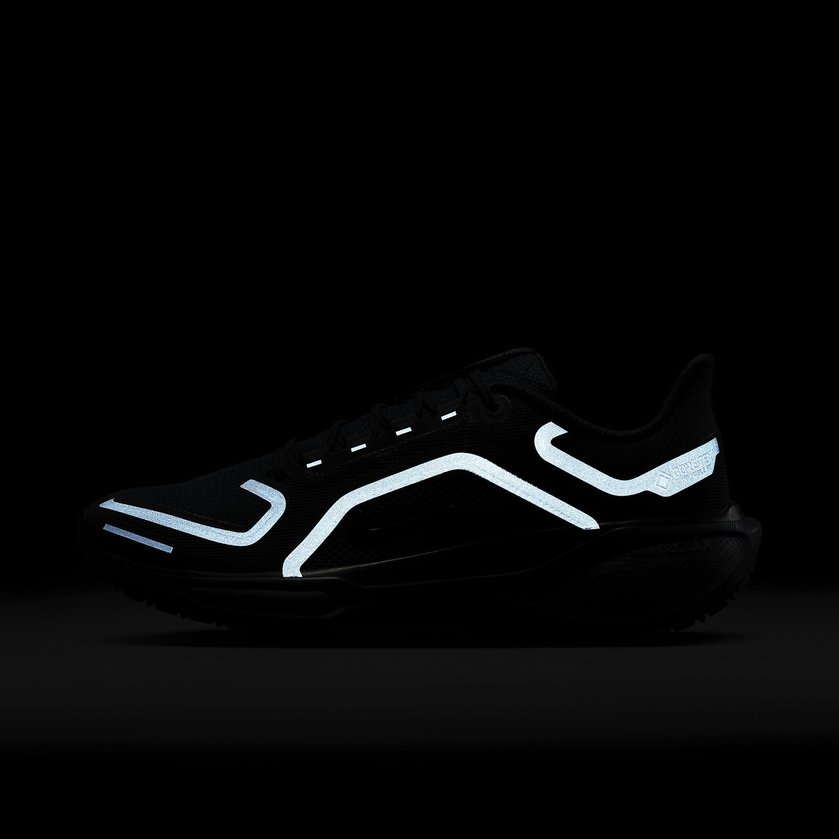 ナイキ エア ズーム ペガサス 41 GTX