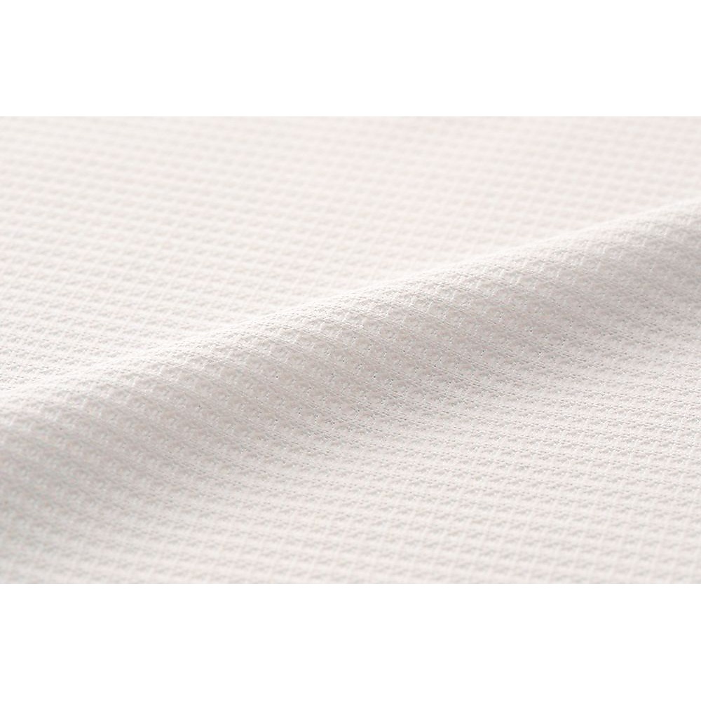 PLWAQAワッフルTシャツメン GREG LL