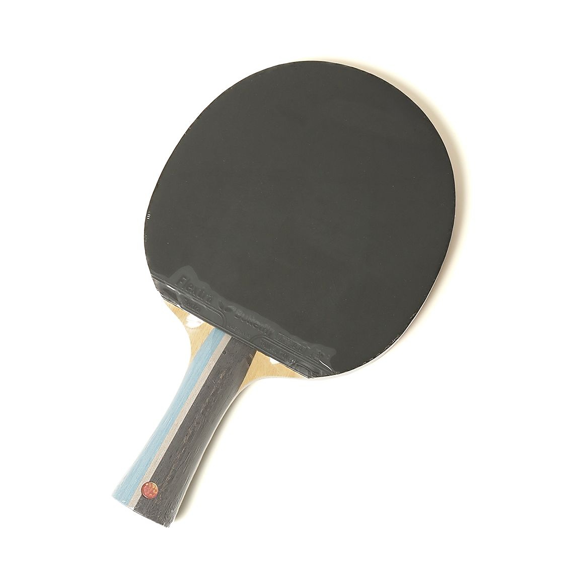 24BFエクスター+フレクストラ_NV