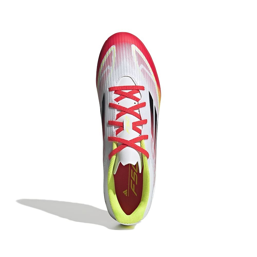 F50 CLUB TF