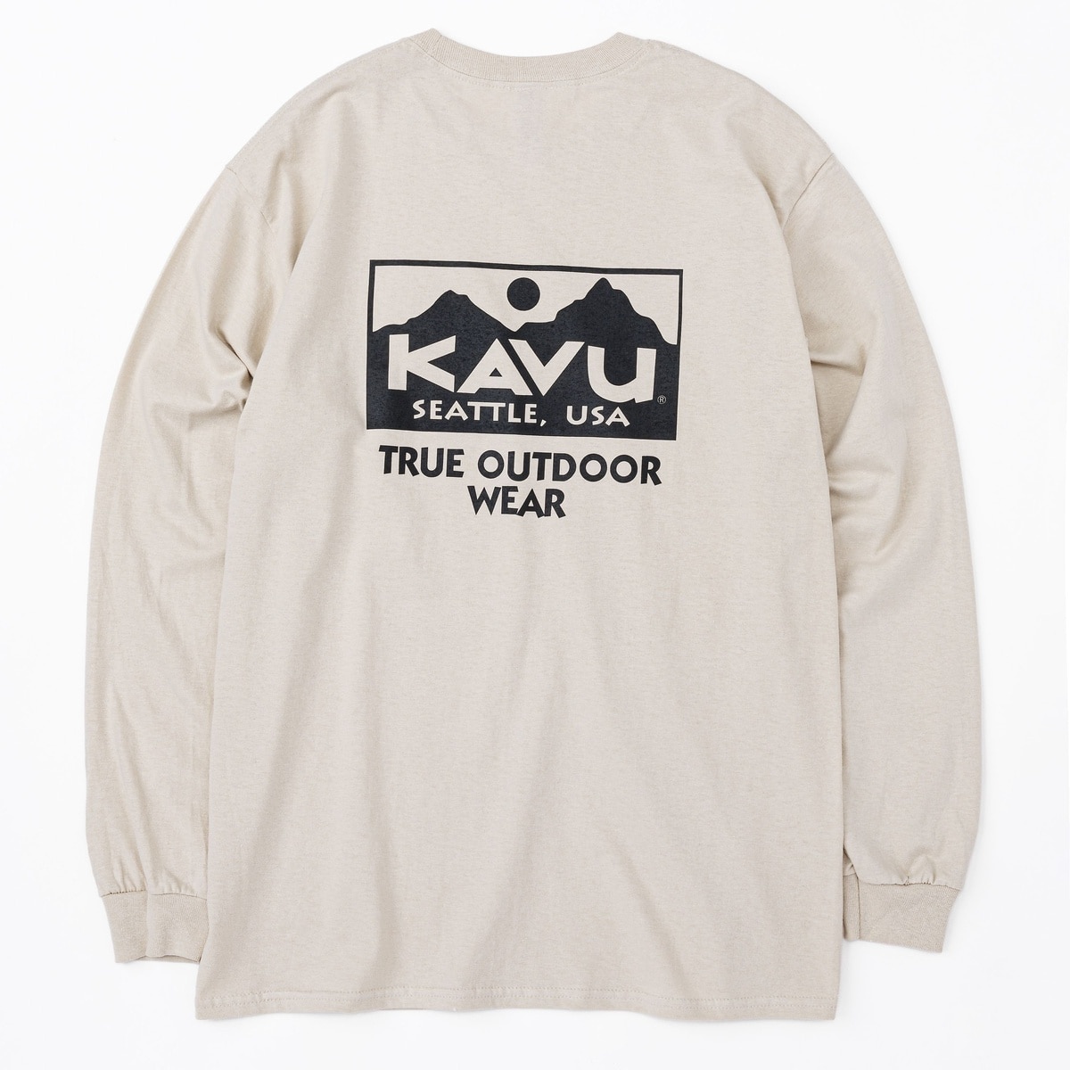 True Logo LS Tee