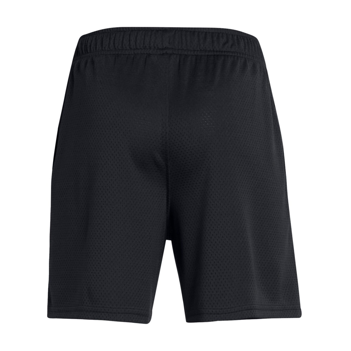 UA Tech Mesh Shorts
