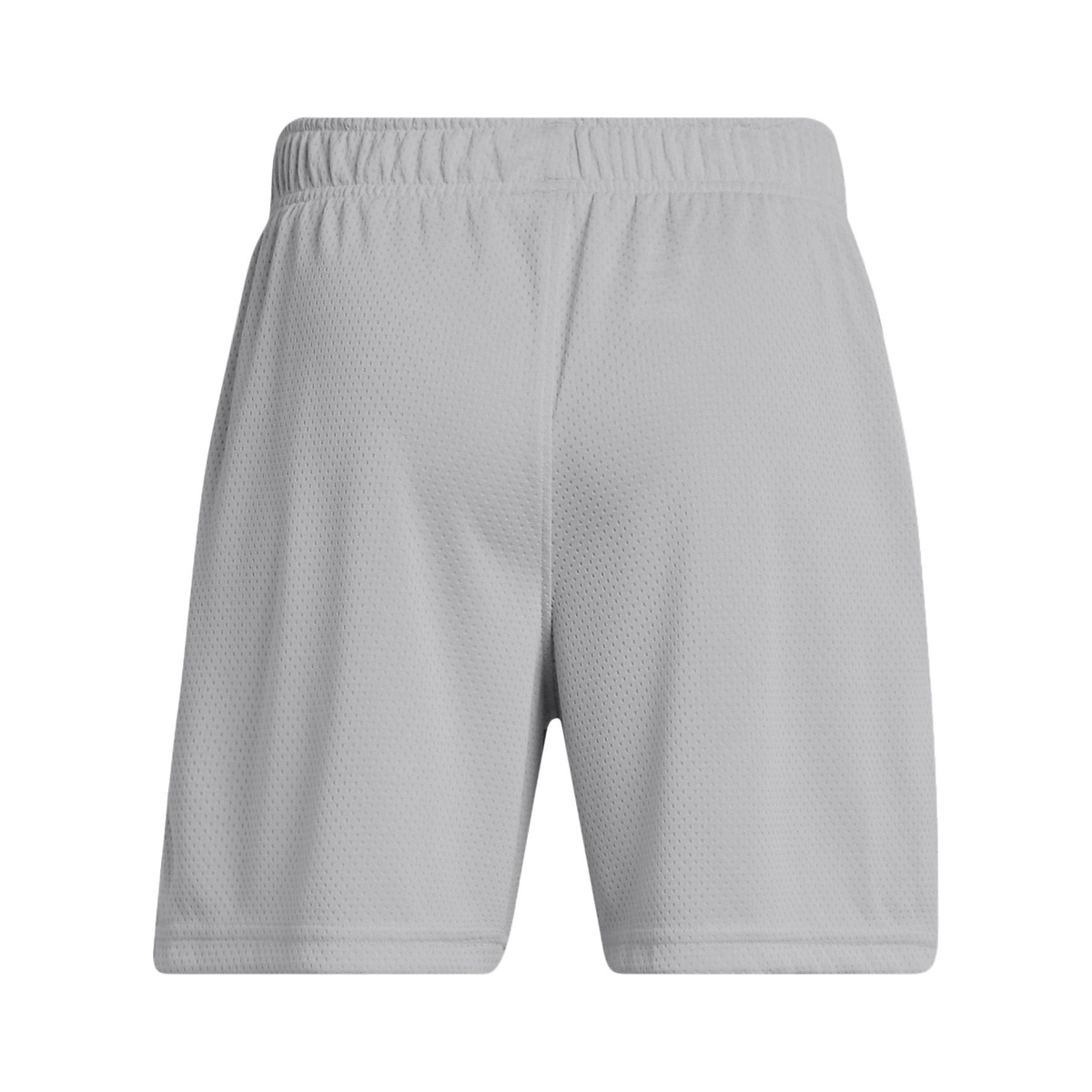 UA Tech Mesh Shorts