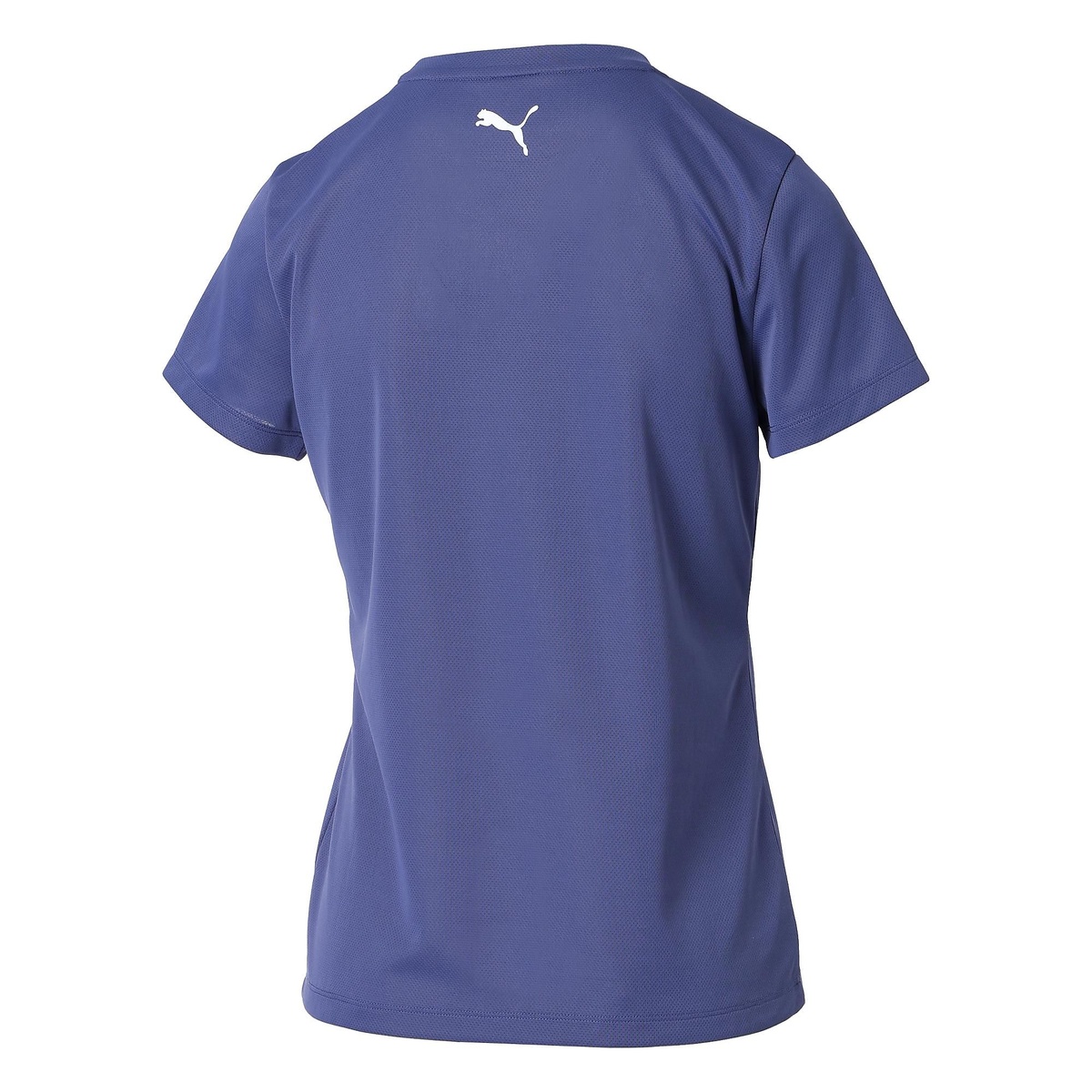 ESS CHM ロゴ Tシャツ