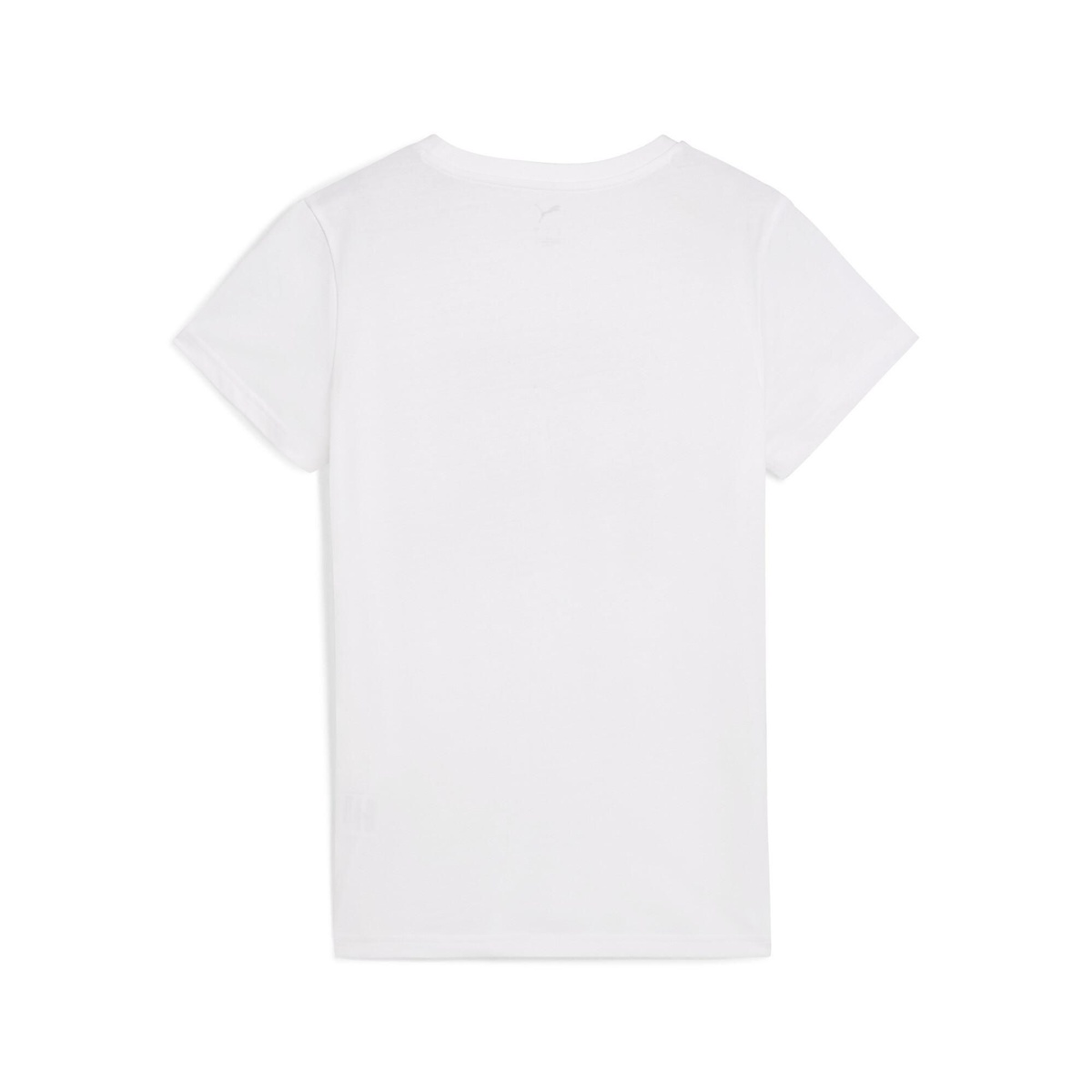 GRAPHICS マウンテン Tシャツ