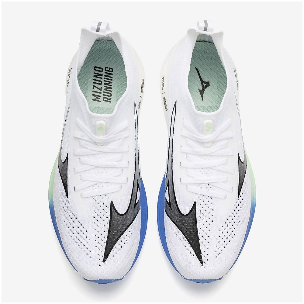 ミズノネオゼン