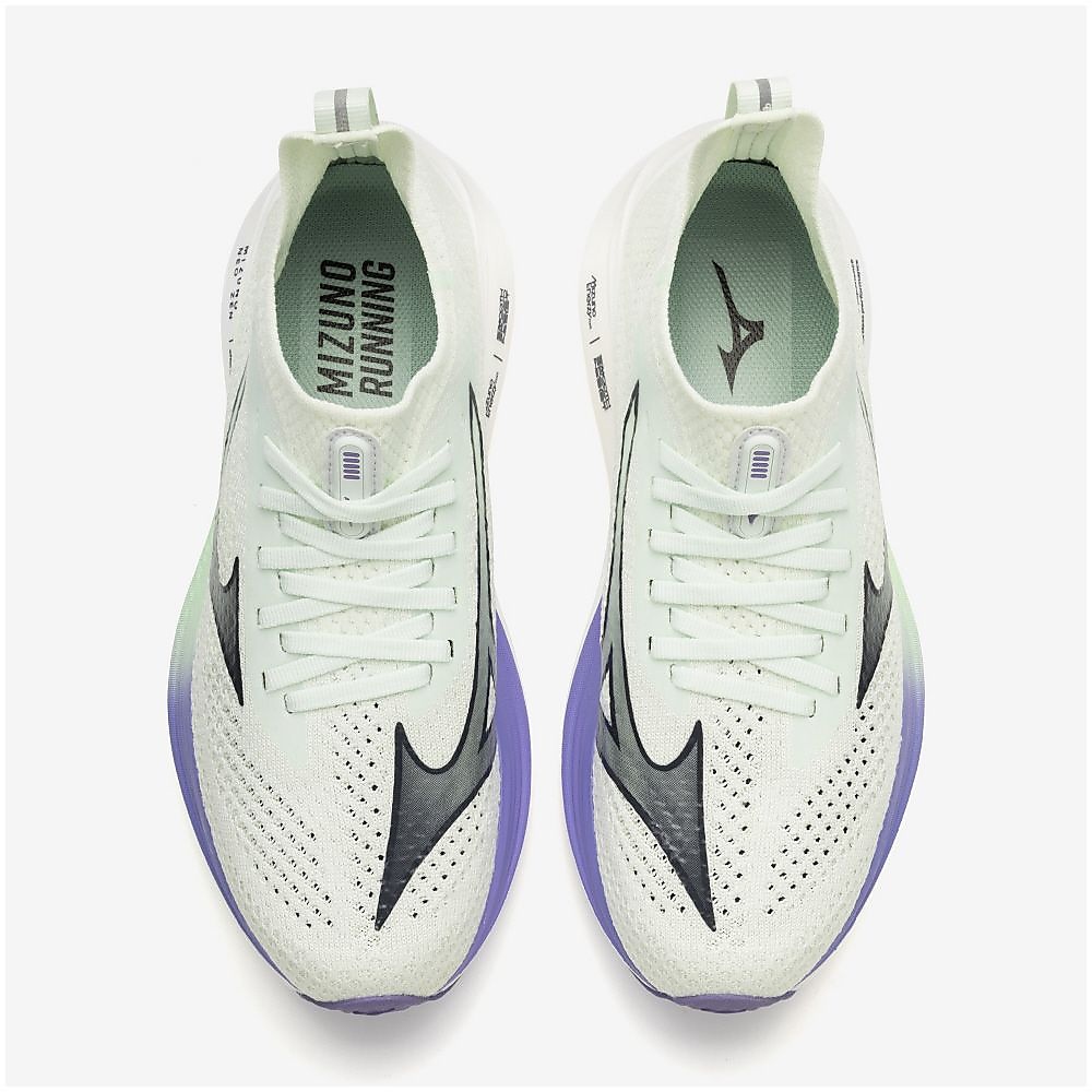 ミズノネオゼン