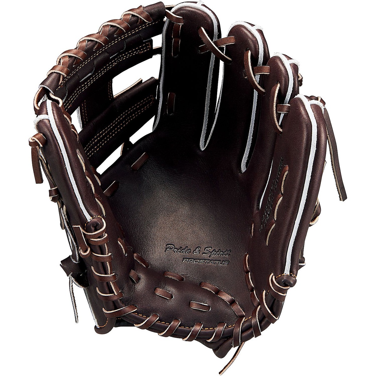 コウシキグラブ(プロステイタス)2001